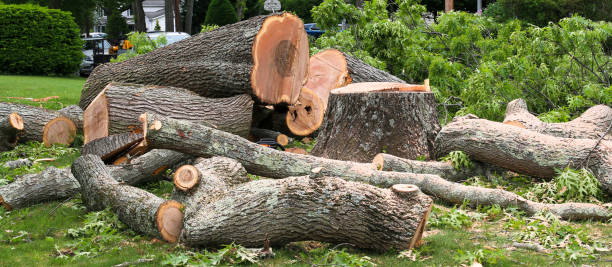 Weatherford, OK Tree Services Company